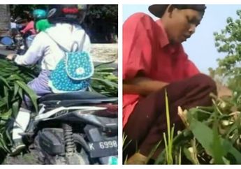 Setelah Foto Siswi SMA Bawa Rumput, Kini Muncul Video Tutorial "Ngarit" Untuk Cari Rumput