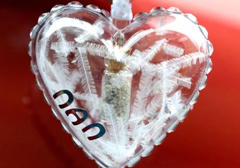 Ingin Tetap Rayakan Natal Bersama Ayah yang Telah Meninggal, Seorang Wanita Ciptakan Hiasan Tak Terduga