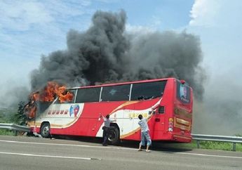Gegara Sopir Mabuk, Bus Wisata Alami Kecelakaan, Ternyata Sang Sopir Habis Mengonsumsi Alkohol Segini Banyaknya