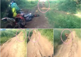 Surat Dari Aceh, Soal Veteran Perang dan Suku Mante Penghuni Hutan di sana