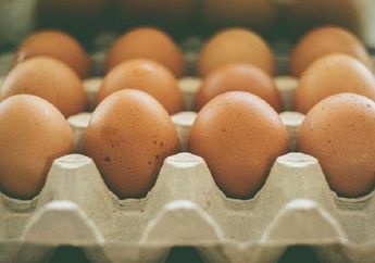 Perusahaan Buka Lowongan dengan 144 Butir Telur Sebagai Bagian dari Gaji, Berminat?