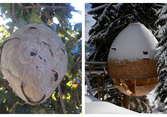 Dari Luar Terlihat Seperti Sarang Lebah Tapi Dalemnya Kayak Hotel Bertingkat, Lihat Fotonya