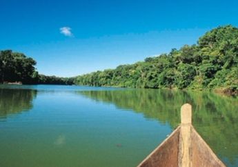 Disebut Mirip Hutan Amazon, Ternyata Tempat Wisata Ini Ada di Tempat Kelahiran SBY