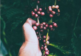 Katakan Bye-bye Pada Kulit Kering dan Terkelupas dengan Buah yang Satu Ini!