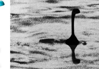 Unik Banget! Didesain Mirip Mahkluk Astral, Desain Sendok Ini Justru Bisa Membuatnya Berdiri Sendiri loh