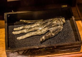 Kisah Artefak Aneh Hand of Glory yang Konon Punya Kekuatan Magis dan Peninggalan Sihir Hitam