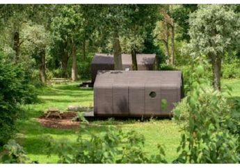 Rasakan Sensasi Tinggal di Sekotak Kardus, Dijamin Dalemnya Nggak Ngardus