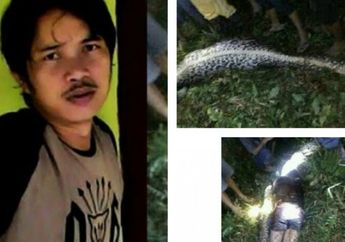 Sedih! Akbar Tewas Dimangsa Ular Piton, Meninggalkan 2 Rencana Ini Selamanya