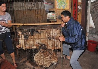 Ditangkap Mencuri Anjing, 2 Pria Dihakimi Warga dan Salah Satunya Tewas Mengenaskan