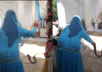 Video Mempelai Wanita Lawan Ular Kobra di Resepsi Pernikahan Bikin Heboh, Ternyata ini Kisah Sebenarnya