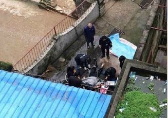 Ngeri, Lupa Menutup Pintu Kandang, Penjaga Kebun Binatang Tewas Diterkam Harimau