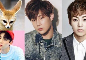 Punya Mata Kecil dan Dagu Tajam, 7 Idol Ini Dibilang Mirip Fennec Fox, Ada Favoritmu?