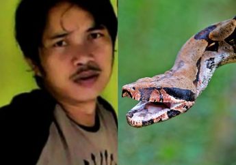 Haru! Akbar Yang Tewas Dimangsa Ular Piton, Bahkan Anak Ke-2 Belum Kenal Siapa Ayahnya