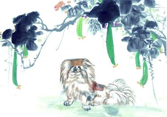 Ini Dia Peruntungan Shio Anjing di Tahun 2018, Kamu Termasuk?