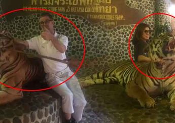 Sekedar Selfie Bareng Harimau, Kebun Binatang Ini Jadi Viral Internasional, Ternyata Petugas Lakukan Hal Keji