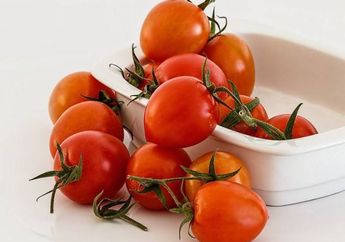 Waduh! Ternyata Tomat Jadi Berbahaya Jika Disimpan Dalam Kulkas, Kok Bisa?