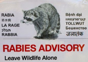 Hisap Luka Anaknya yang Digigit Anjing Liar, Seorang Ayah Malah Meninggal Dunia, Ada Apa ya?