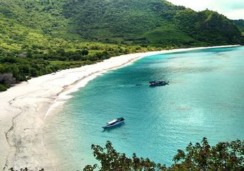 Alor, 'Surga Diving' yang Bisa Dinikmati Hanya Dengan Rp 3 juta! Intip Kisaran Budgetnya