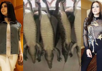 VIDEO: Penderitaan di Balik Kemewahan Tas Artis, Mulai Syahrini Hingga Maia Estianty