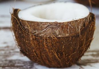 Jarang Diketahui, Ternyata Ini Manfaat Minyak Kelapa Untuk Miss V