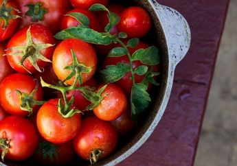 Ssst..Konsumsi Buah Tomat Ternyata Baik Untuk Kesehatan Paru-paru loh, Ini Penjelasannya