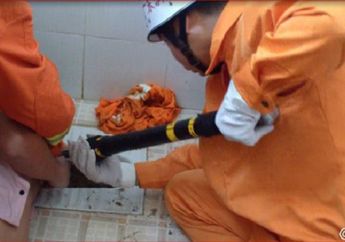 Demi Mengambil Ponsel yang Jatuh, Tangan Pria Ini Terjebak di Lubang Closet Semalam Suntuk