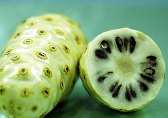 Konsumsi Mengkudu, Bisa Atasi Penyakit Jantung, Dosis Jus Cukup 120 CC dalam Sehari