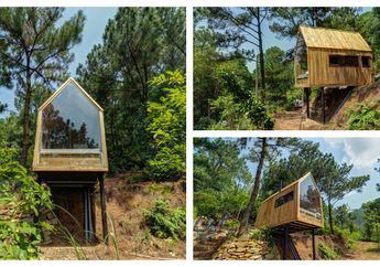  Hunian Mewah Ala Rumah Hutan, Bikin Betah dan Deket Sama Alam nih