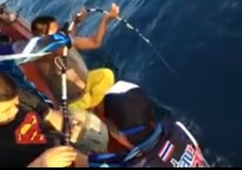 Pancingnya Sampai Bengkok, Lihat Sebesar Apa Ikan yang Didapat