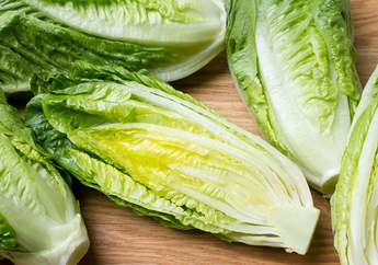 Dianggap Sehat dan Kaya Serat, Selada Romaine Dikabarkan Mengandung Bakteri E.Coli Penyebab Penyakit di Amerika Serikat 