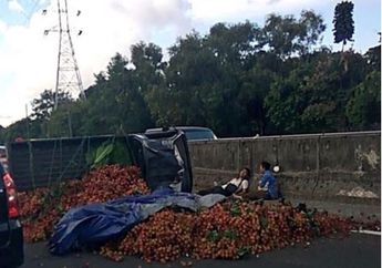 Truk Pengangkut Puluhan Kilo Rambutan Terguling di Jalan Tol