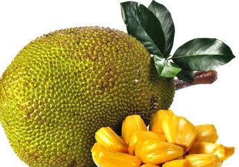 Mulai dari Menciptakan Perisai Untuk DNA, Ini Segudang Manfaat Buah Nangka yang Belum Kamu Tahu