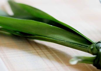 Masker Ini Ampuh Atasi Rambut Rontok dan Berketombe Dalam Waktu 2 Minggu Saja!