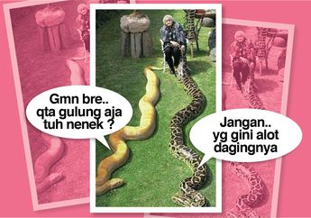MEME : Foto Nenek Duduk Santai Sambil Megang 2 Ular Super Besar yang Jadi Viral, Komentar Netizen Lucu Bikin Ngakak!