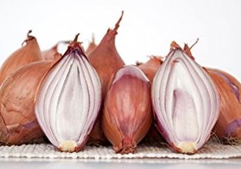 Tidak Hanya Untuk Bumbu Dapur, Ternyata Inilah 4 Manfaat Bawang Merah Untuk Kesehatan Manusia