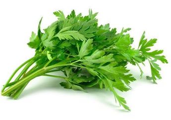 Tidak Hanya Digunakan Pada Masakan, Daun Sop Memiliki Segudang Manfaat yang Belum Kamu Tahu