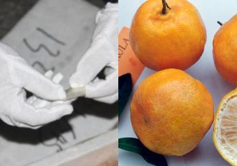 Kreatif Kebangetan! Pria Ini Selundupkan Narkoba Dalam Buah Jeruk