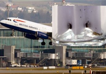 Iuh, Gara-gara Kutu Busuk, Pesawat Ini Batal Terbang