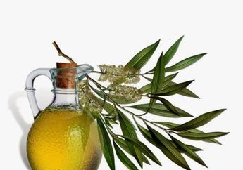 4 Manfaat Tea Tree Oil Untuk Kesehatan, Nggak Hanya Untuk Kecantikan loh!