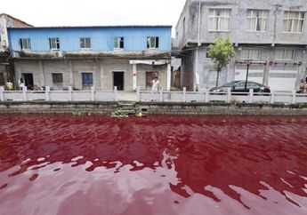 Tak Ada Limbah Industri, Air Sungai Mendadak Berwarna Merah Darah dalam Semalam
