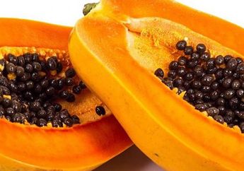 Biji Pepaya Jangan Dibuang, Bisa Atasi Kanker!