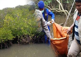 Seorang Nelayang Begitu Kaget, Mayat Perempuan Tanpa Kepala Tersangkut di Pohon Mangrove