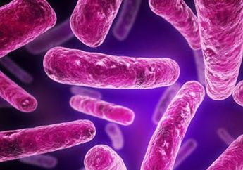 Waspada, Virus Ini Bisa Mempengaruhi Kesuburan Kalian dan Kebal Terhadap Antibiotik loh!