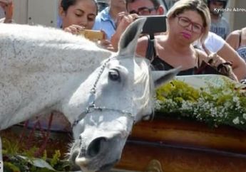 Berduka, Seekor Kuda Ucapkan Salam Perpisahan Kepada Pemiliknya yang Meninggal Dunia