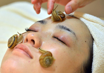 Terdengar Menjijikkan, Tapi Lendir Siput Ternyata Bermanfaat Untuk Kecantikan Kulit Wajah dan Cegah Penuaan Dini