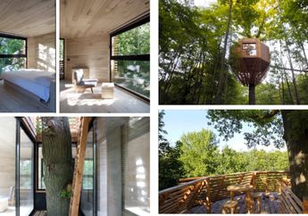 Terinspirasi Sarang Burung, Sebuah Rumah Dibangun di Atas Pohon Berusia Ratusan Tahun