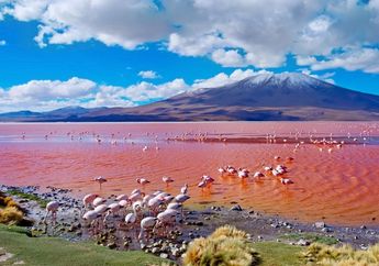 Cute Banget! 5 Danau Ini Permukaannya Berwarna Pink Natural 
