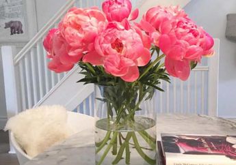 Yuk Contek Gaya Meghan Markle Dalam Menata Ruang Makan, Supaya Suasana Makanmu Jadi Elegan!