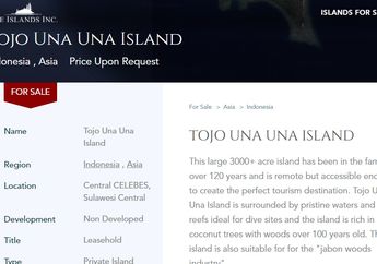 Miris, Satu Pulau di Indonesia Dijual Lagi Lewat Online, Begini Penampakan Lokasinya
