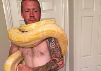 Seorang Pria Ditemukan Tewas Sesak Napas Dililit Ular Piton Peliharaan Kesayangannya yang Selama Ini Disebut 'Anaknya'